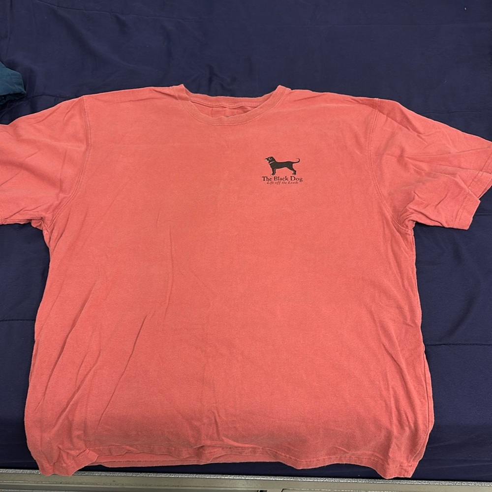 Black dog red shirt